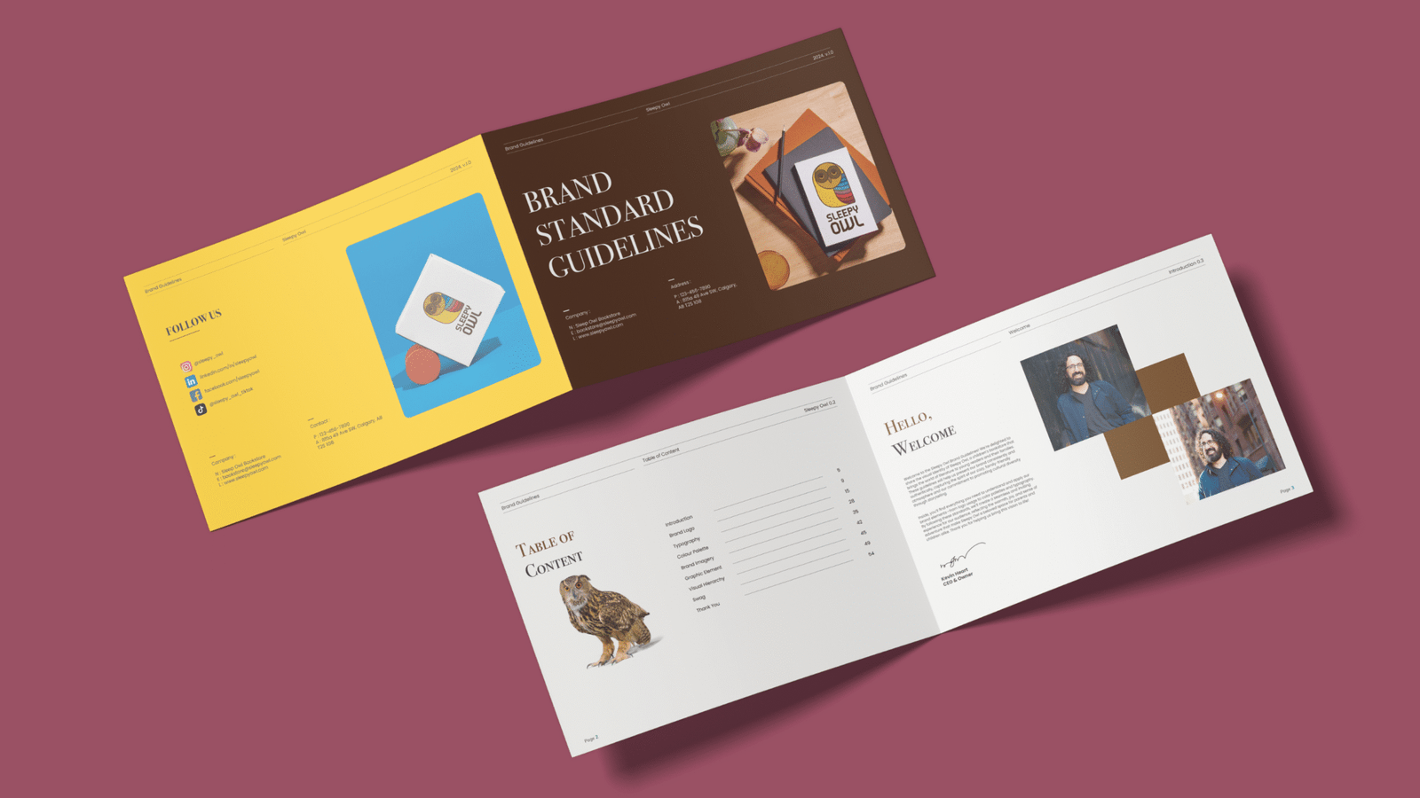 Sleepy Owl Brand Guidelines