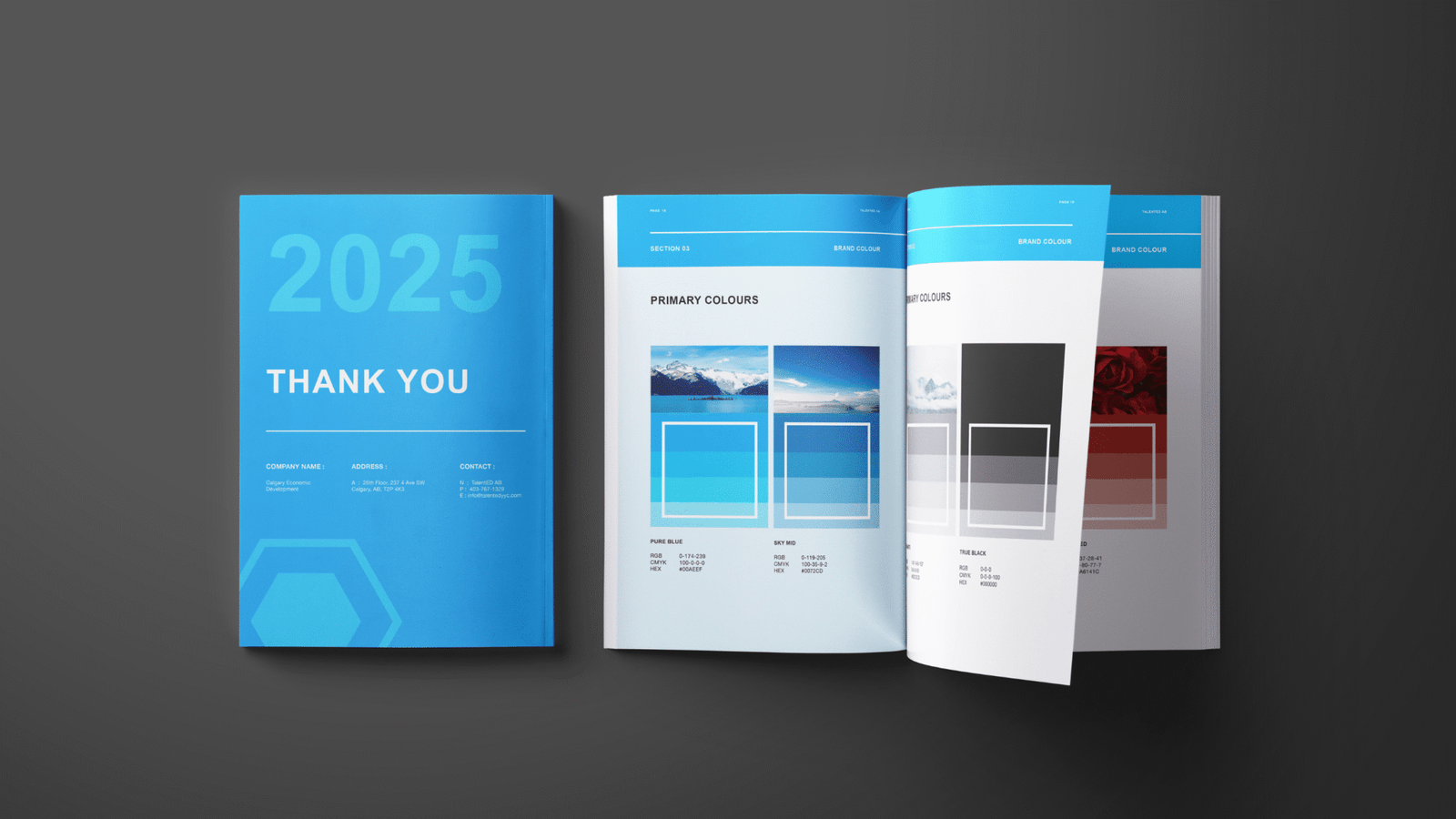 TalentED AB Brand Guidelines