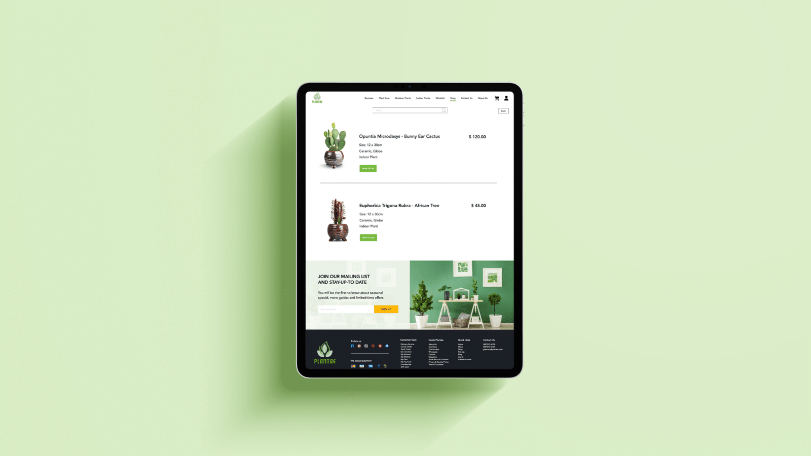 Plantae e-commerce website design