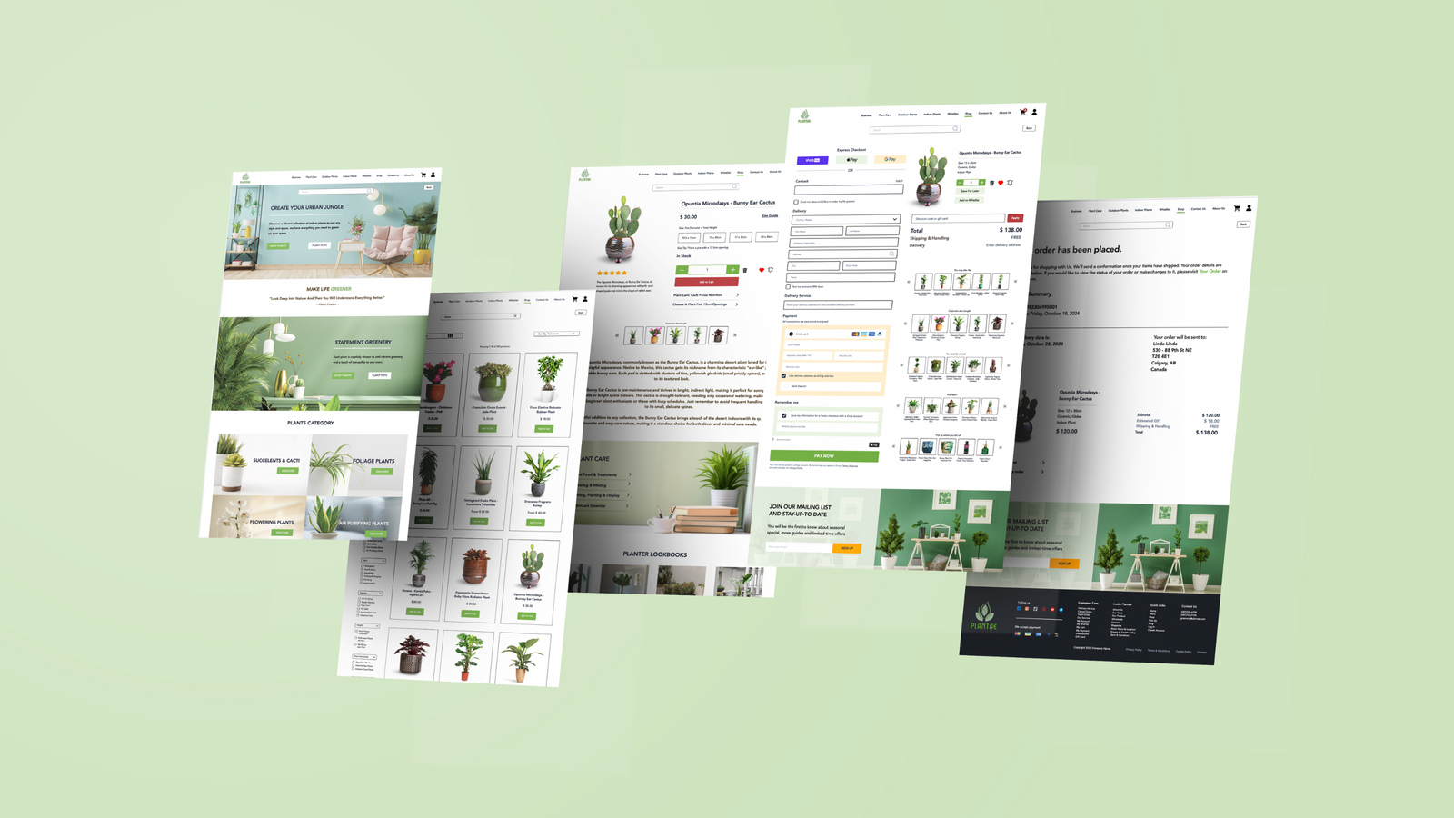Plantae responsive web design for e-commerce