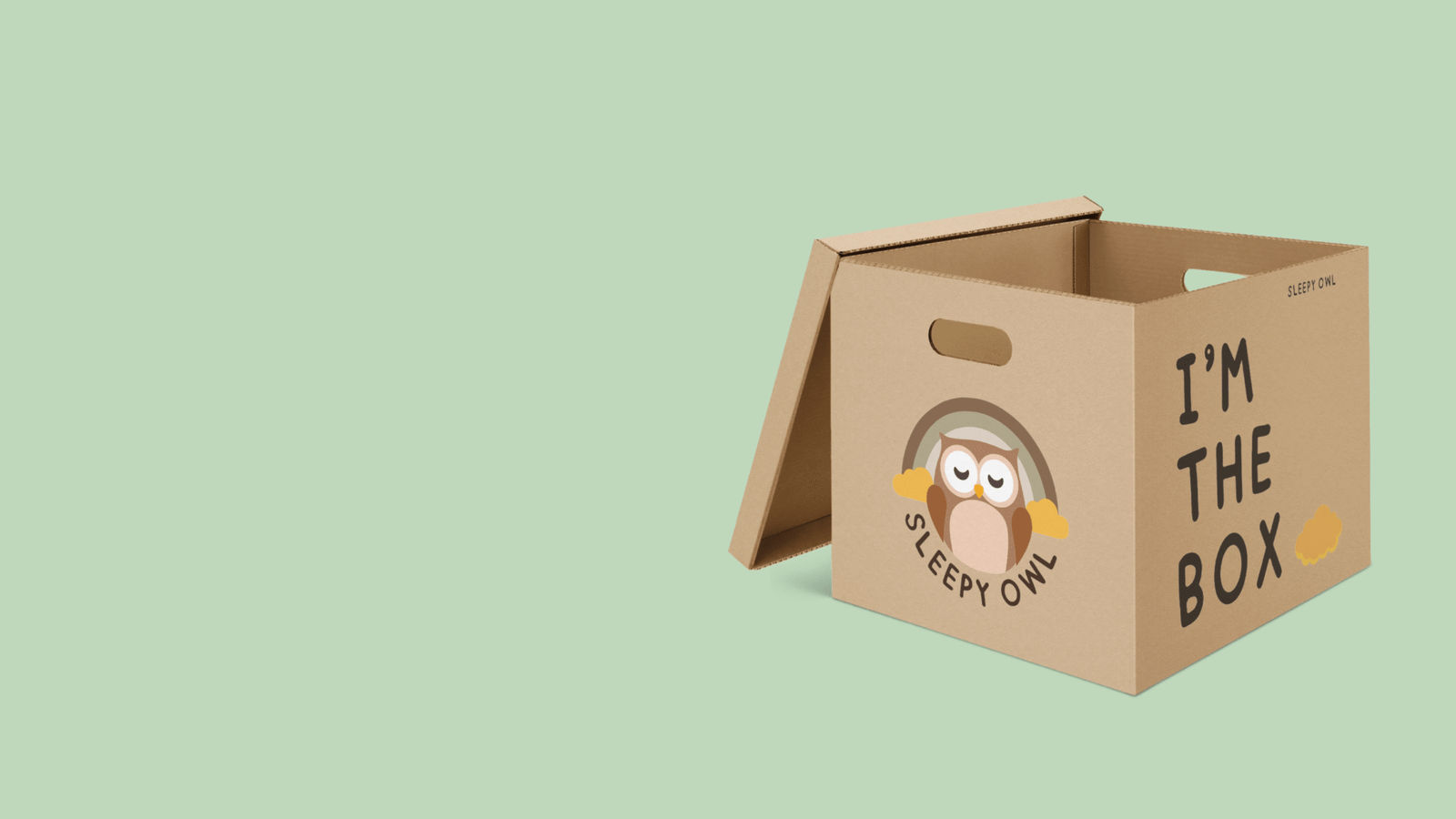 Sleepy Owl Logo Box Design