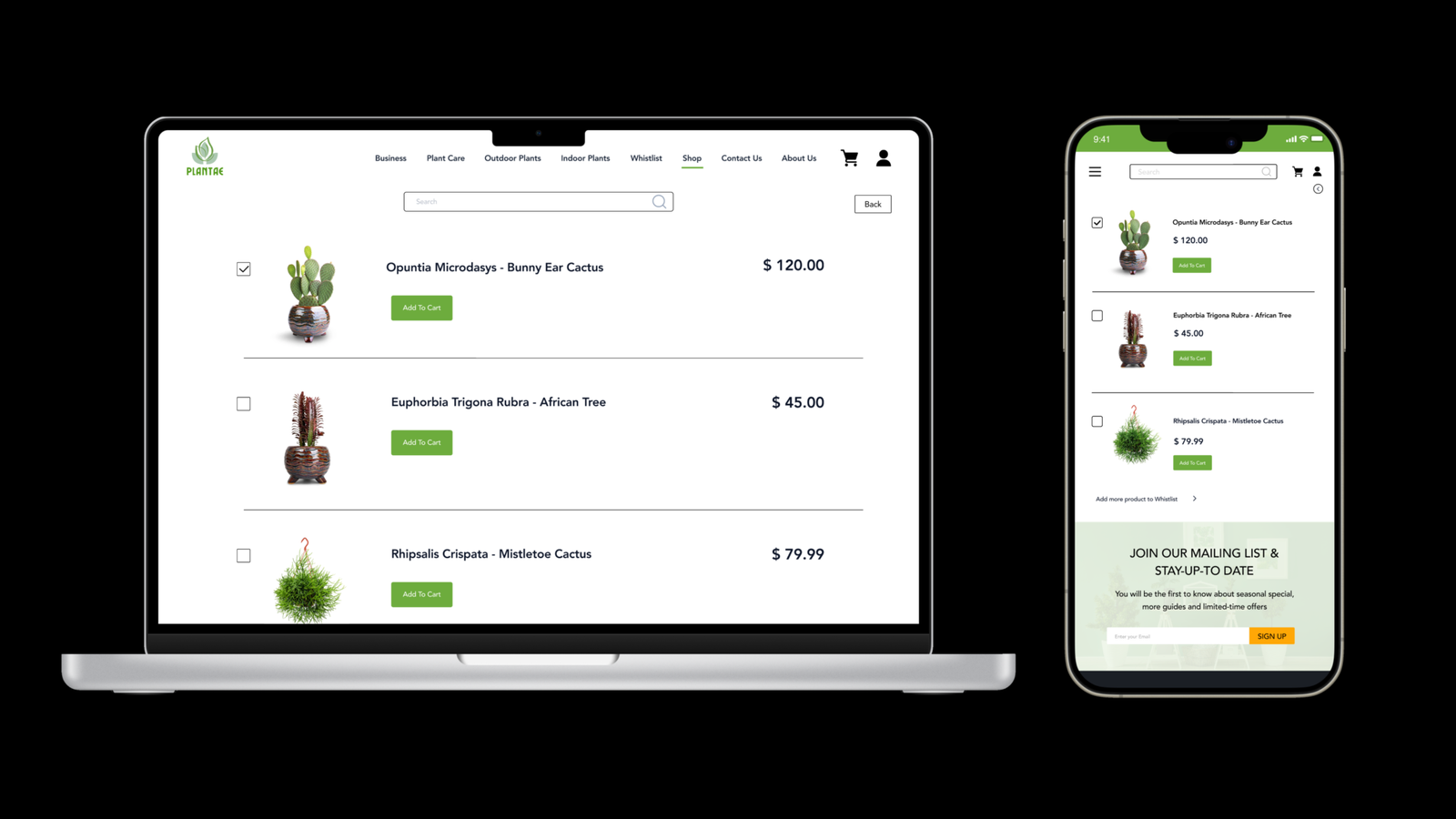 E-Commerce Desktop and Mobile Wishlist Design