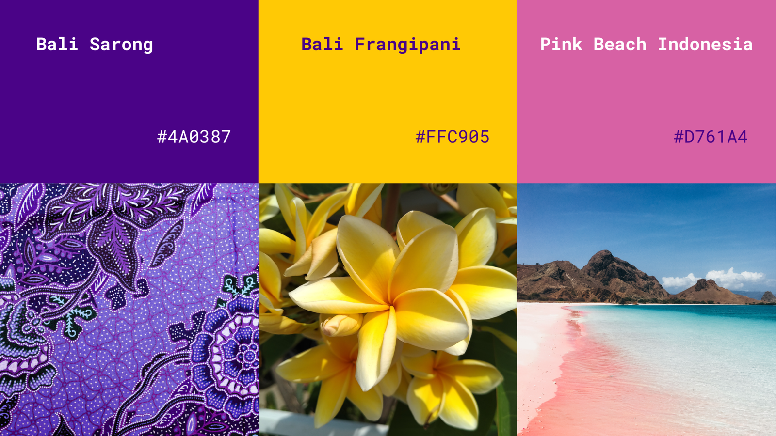 Jenz Mart Color Palette