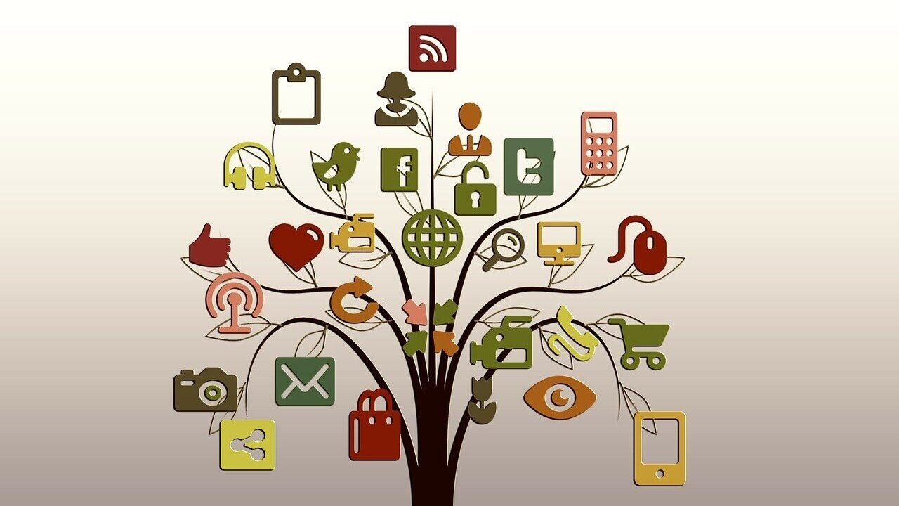 tree, structure, networks, internet, network, social, social network, logo, facebook, google, nature, social networking, networking, social media, icon, website, presentation, multimedia