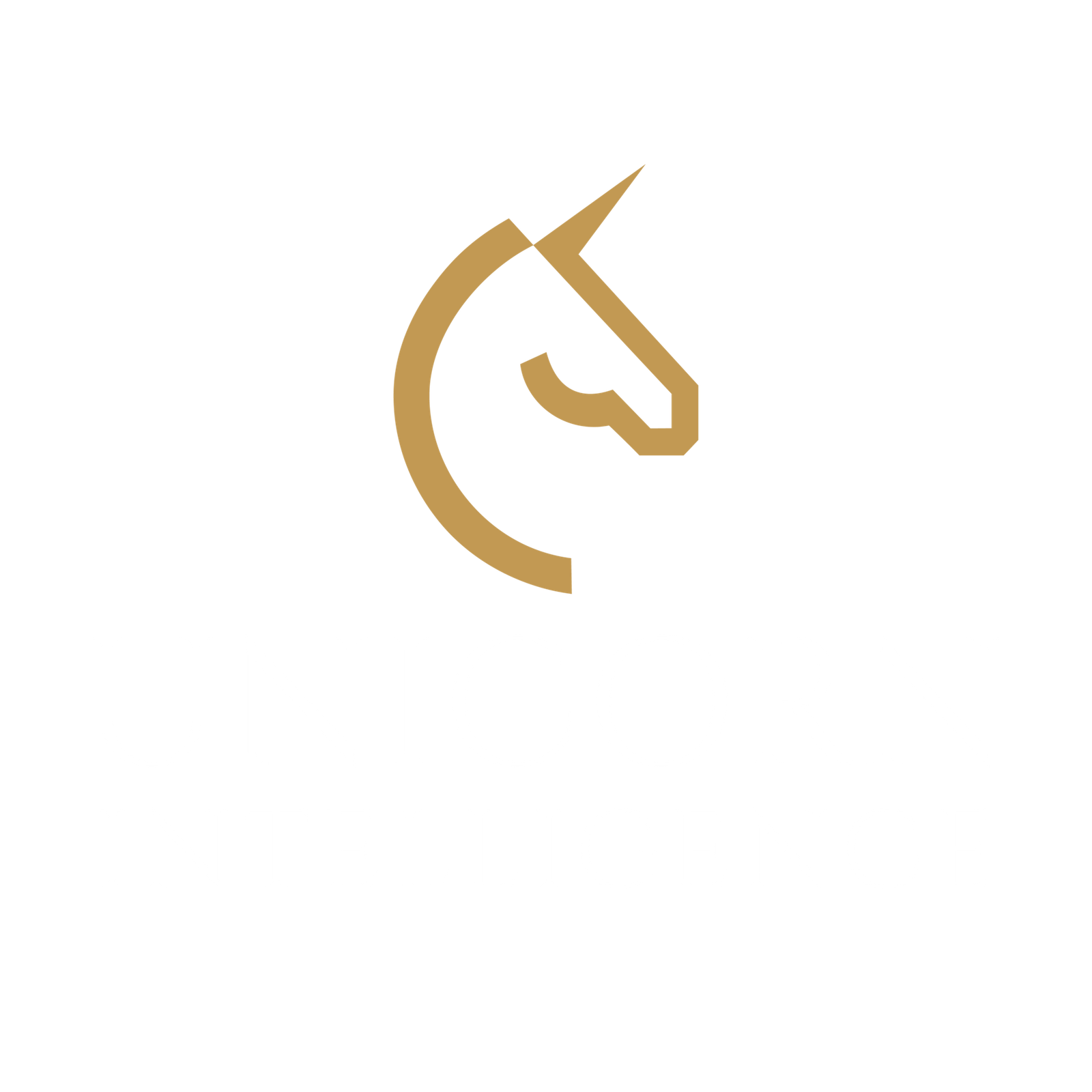 Unicorn Intelligence Logo