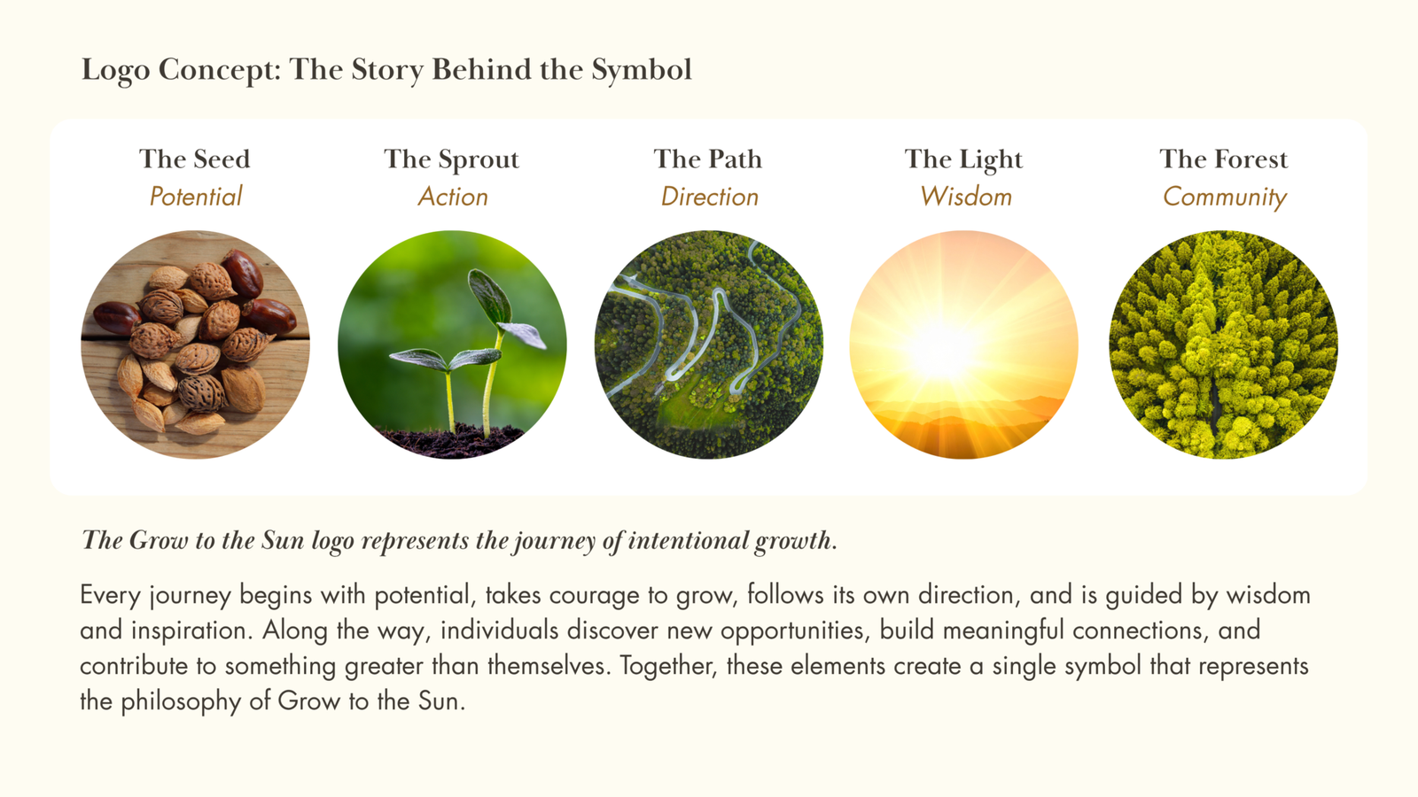 Grow to the sun color inspiration